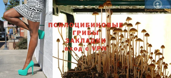 кокс Липки