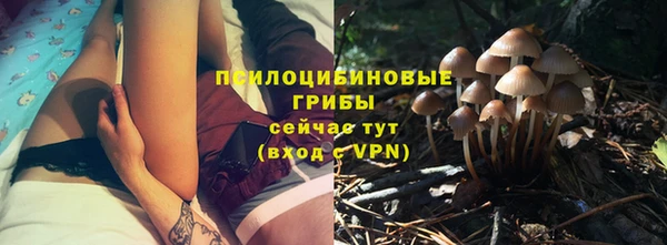 кокс Липки
