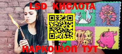 jwh Краснодар