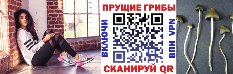 даркнет сайт  гидра маркетплейс  Галлюциногенные грибы мухоморы  Южноуральск 