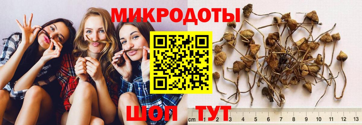 Галлюциногенные грибы ЛСД  Вход с VPN  Южноуральск  Псилоцибиновые грибы Psilocybine cubensis 